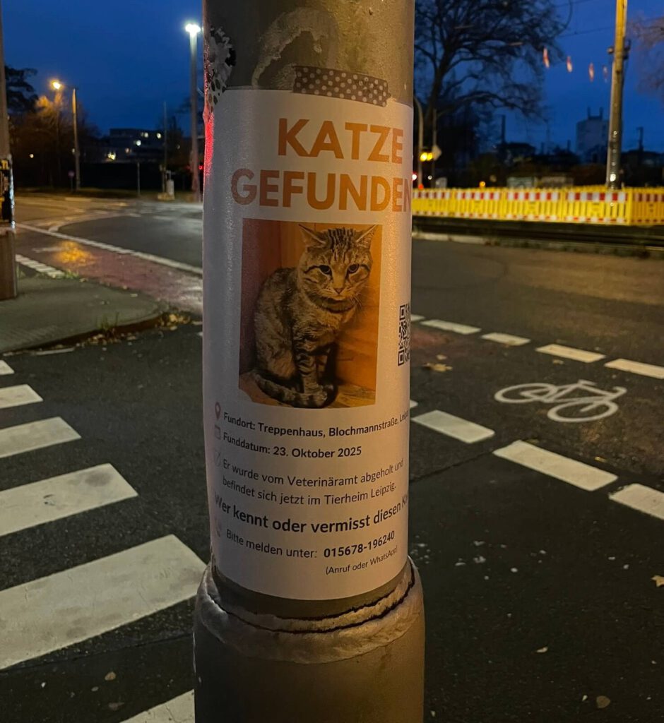 aushang katze gefunden