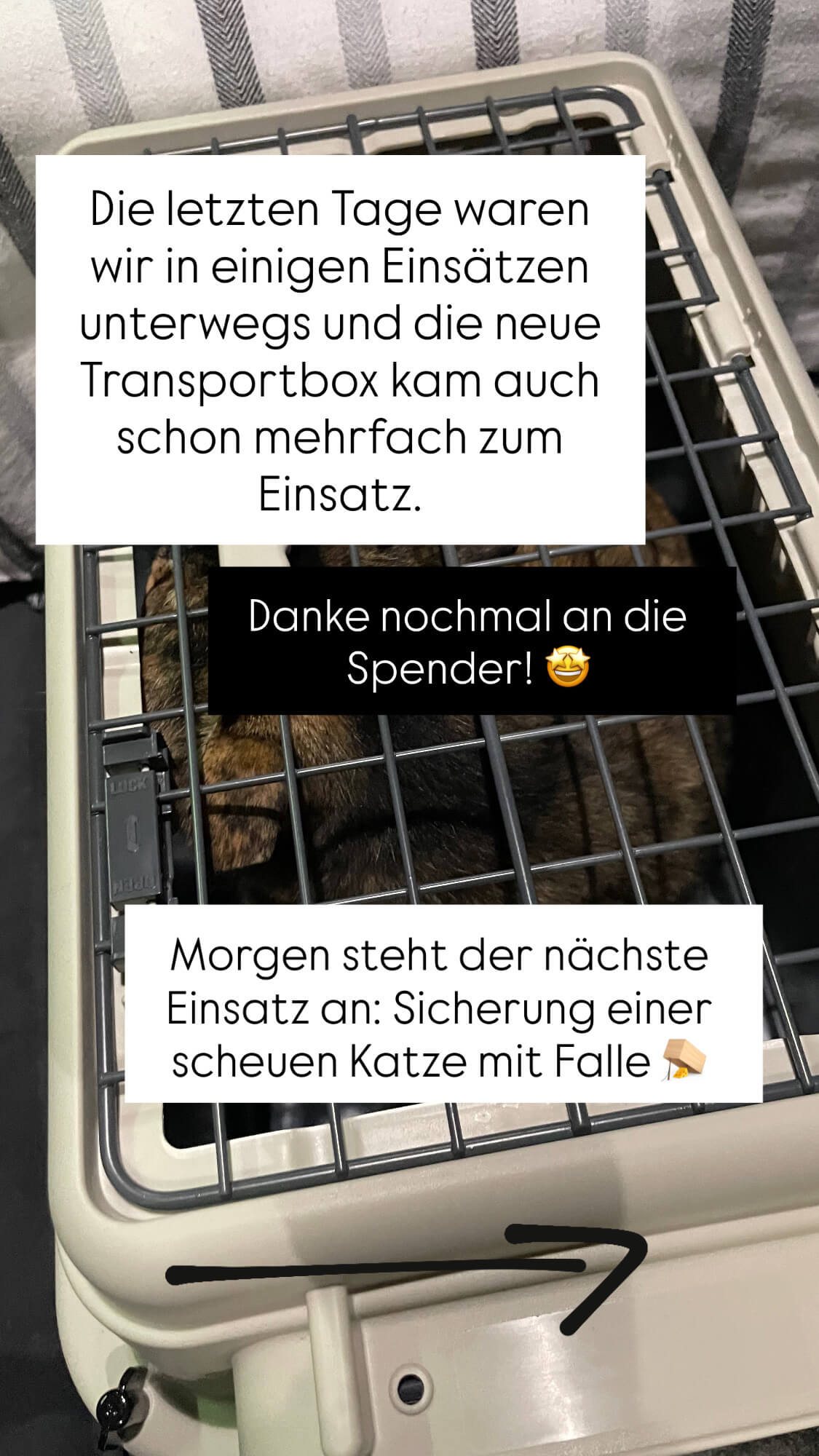 Danke für die Spende Transportbox Katze gesichert