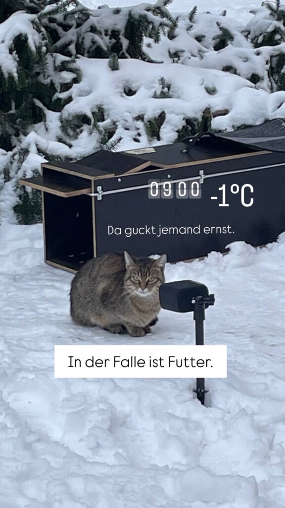 Katze vor Katzenfalle und Kamera