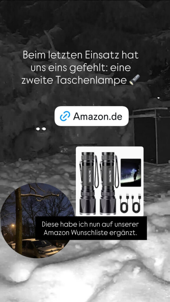 wunschliste katzendetektive zweite taschenlampe