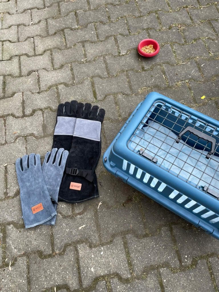 bissfeste Handschuhe zur Katzensicherung