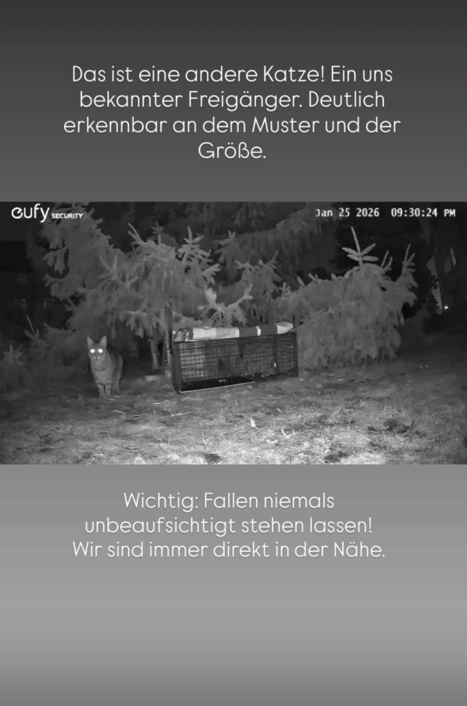 Freigänger vor Katzenfalle