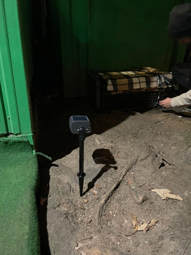 kameraüberwachung katzenfalle