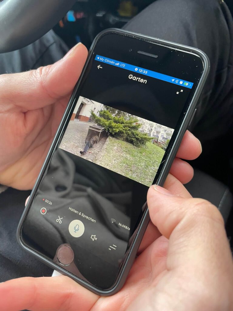 katze geht in falle Überwachungskamera