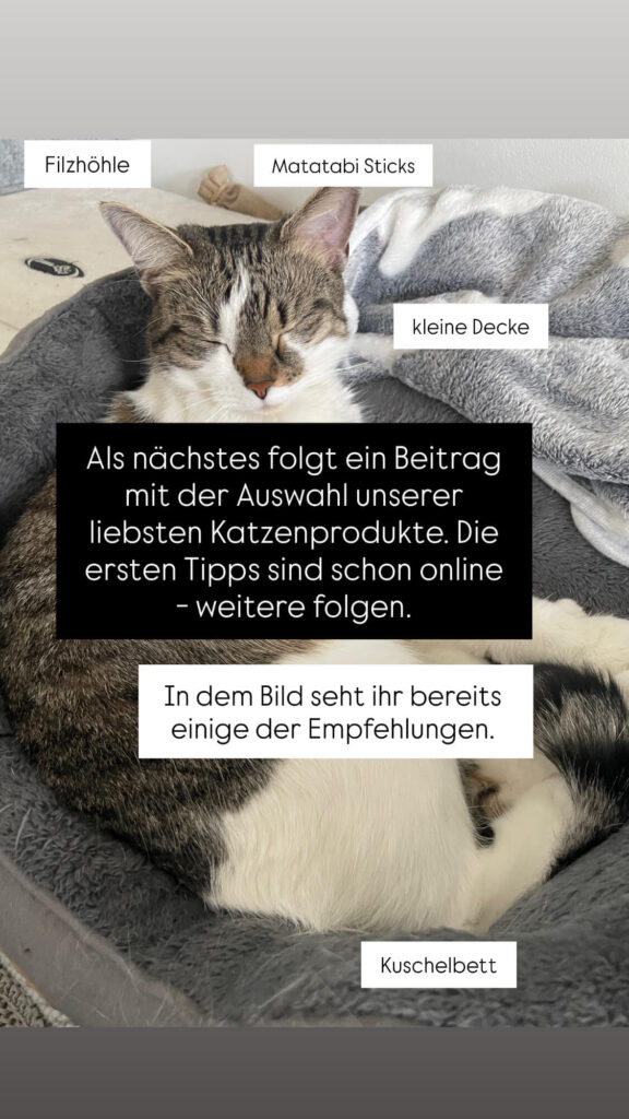 Kuschelbett Katze und Produkte